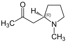 Chemical structure of hygrine