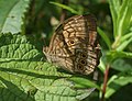 於 2022年7月21日 (四) 14:29 版本的縮圖