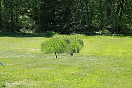 Laytonsville Golf Course 1st culvert