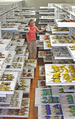 File:Ornithological collection at the Museum of Comparative Zoology - journal.pbio.1001466.g002.png