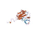 1m17: Epidermal Growth Factor Receptor tyrosine kinase domain with 4-anilinoquinazoline inhibitor erlotinib
