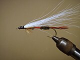 Royal Coachman Bucktail