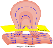 Diagram of the magnetic-field structure of a solar flare and its origin, inferred to result from the deformation of such a magnetic structure linking the solar interior with the solar atmosphere up through the corona.