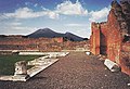 Vesuvius from Pompeii