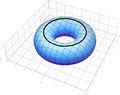 Critical submanifold for the height function on a laid down torus