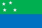 智利湖大区旗帜