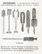 Illustration showing bottle brushes, the eponym of the plant