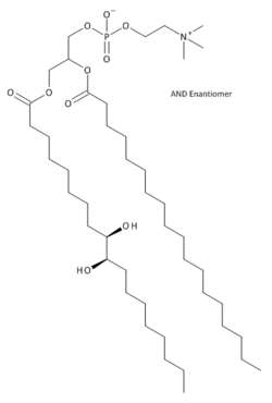 Hydroxylated Lecithin