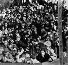 1906 Crowd in the stands