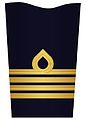 Sleeve insignia on innerkavaj m/48 ("inner jacket m/48") for a lieutenant colonel. (–2003)