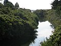 From 'Halleby Å', the stream connecting the wetland areas.