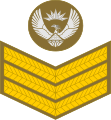 Staff sergeant (South African Army)[38]