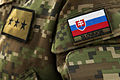 Flag of Slovakia in army uniform