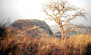 The sacred mountain of Mogode in the country of the Kapsiki people