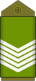 Sergent major (Land Forces of the DR Congo)