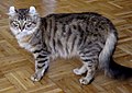 於 2005年9月23日 (五) 10:46 版本的縮圖