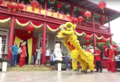 Image 16Lion dance at Chinese New Year celebrations in Suriname (from Suriname)