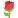 🌹