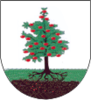 Coat of arms of Gmina Obrazów