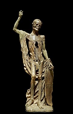 An alabaster statue showing Death as a living skeleton. His right arm is draped with a shroud and raised upwards. His skull appears to be looking downwards. His shield is inscribed with a verse in French.