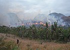 发生于马达加斯加的刀耕火种过程