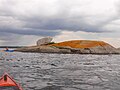 Orange Lichen (Xanthoria elegans) on rocky islet in Gaspereau Lake