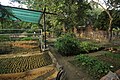 View of native plants nursery at Rao Jodha Desert Rock Park