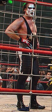Man wearing black tights with black and white facepaint standing in a ring surrounded by a steel cage.