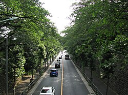 东京都道、神奈川县道3号世田谷町田线