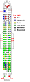 seating chart in Turkish