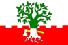 Flag of Buk