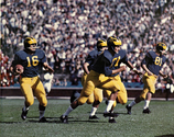 1959 Michigan football team