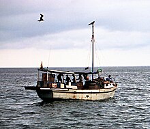 Photo of single-masted boat at sea