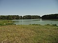 Pond on the river Syvka