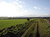 Port Way near Grateley