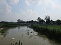 Shuk River at Thakurgaon Sadar Upazila