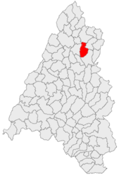 Location in Bihor County