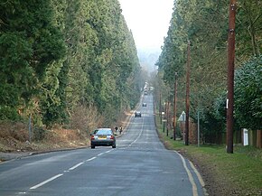 Wellingtonia Avenue, Crowthorne - geograph.org.uk - 487156.jpg