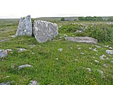 The partially collapsed northern wedge tomb