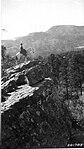 The Forest Supervisor near Mount Taylor in 1925. Photo: US Forest Service.