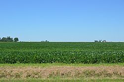 Fields west of Ashkum