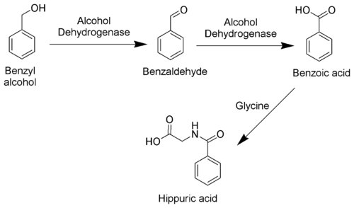 苯甲醇的代谢途径