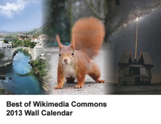 2013 wall calendar