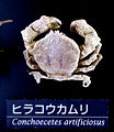 2014年3月14日 (五) 10:10版本的缩略图