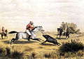 Hog Hunting in Bengal - plate 5, The Charge[2]