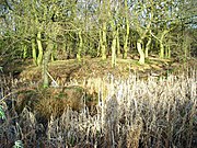 Moats in Castle Wood