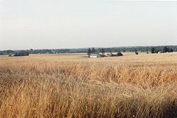 View of a fragment of the village of Nowy Dwór-Parcela