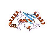 2eso: Human Ubiquitin-Conjugating Enzyme (E2) UbcH5b mutant Ile37Ala
