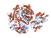 2nvu: Structure of APPBP1-UBA3~NEDD8-NEDD8-MgATP-Ubc12(C111A), a trapped ubiquitin-like protein activation complex