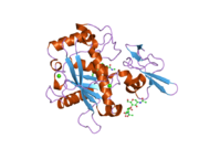 2rjq: Crystal structure of ADAMTS5 with inhibitor bound